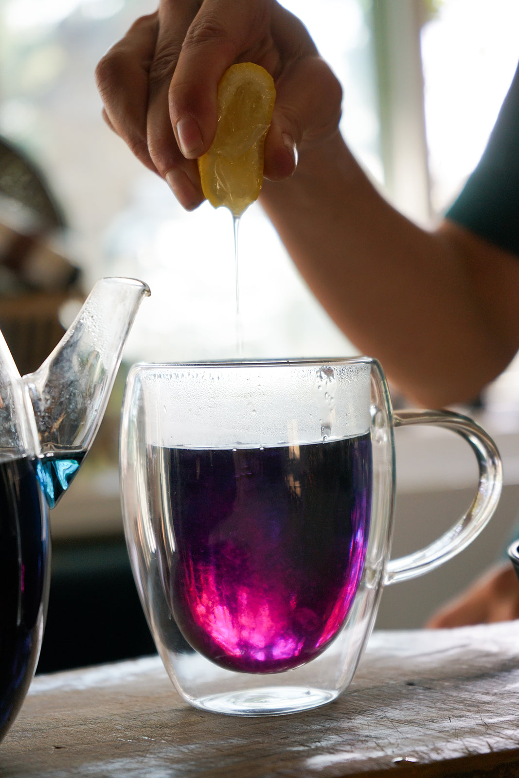 Butterfly Pea